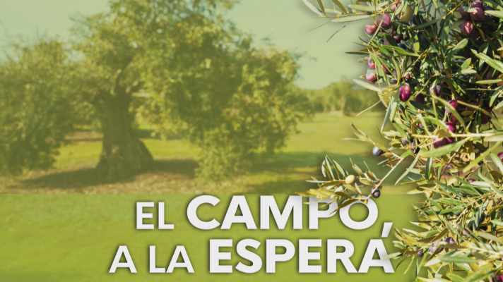 Noticias Andalucía - Preocupación en el campo