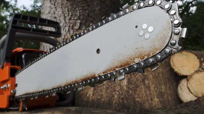 Documenta2 - Peligro: tala ilegal