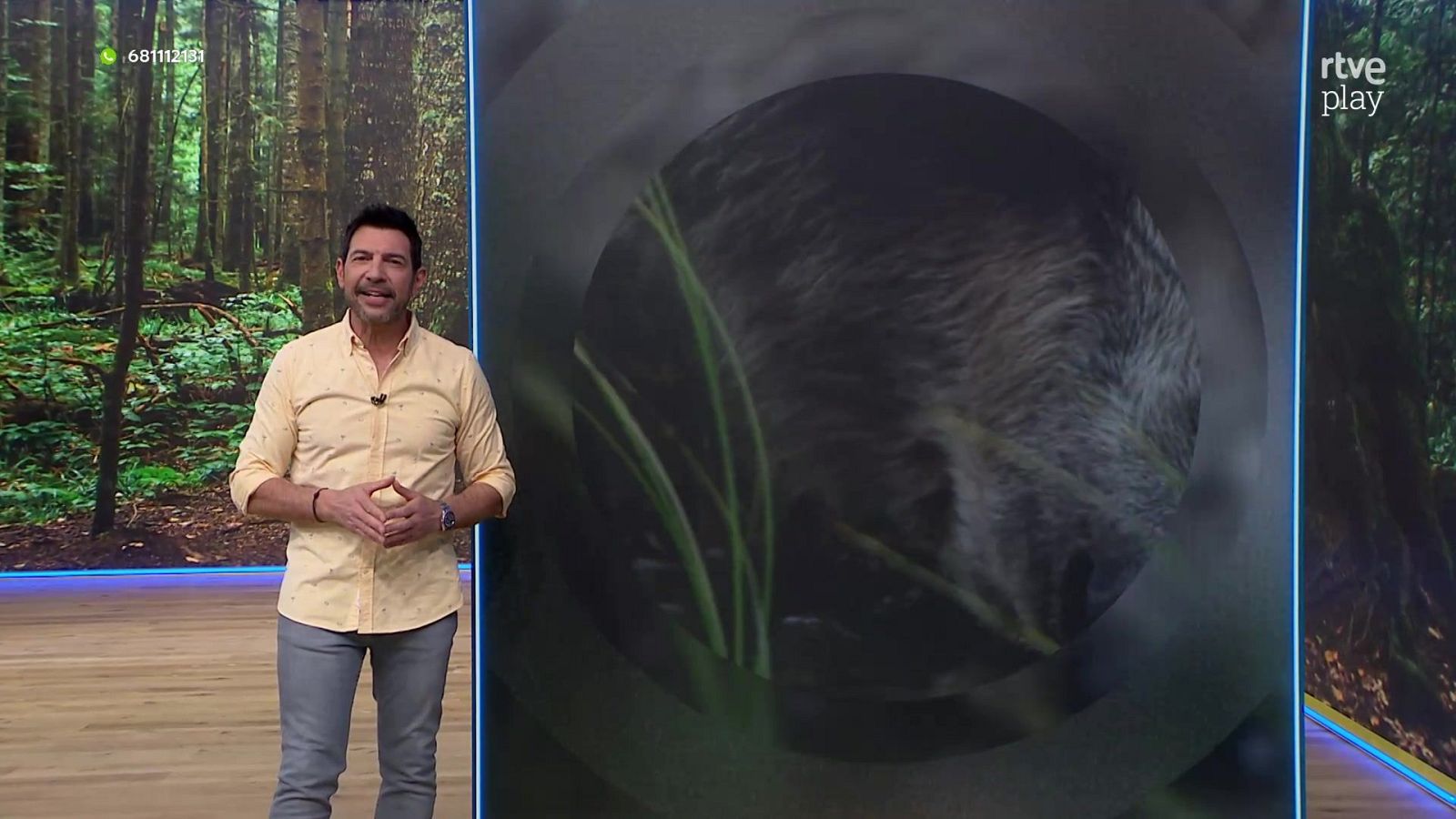 Aquí la Tierra - 05/03/26 - Aquí la Tierra | Ver