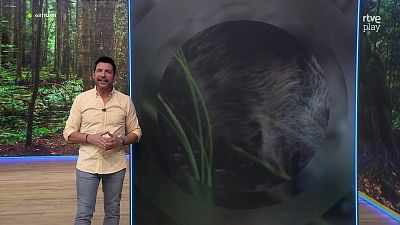 Aquí la Tierra - 05/03/26