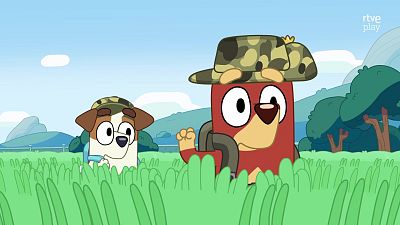 Bluey - Ejército - Bluey | Ver