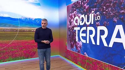 Carxofes, formatge, calçotada