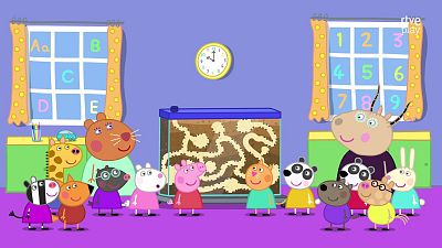 Peppa Pig - El hormiguero de la Doctora Hamster - Peppa Pig | Ver