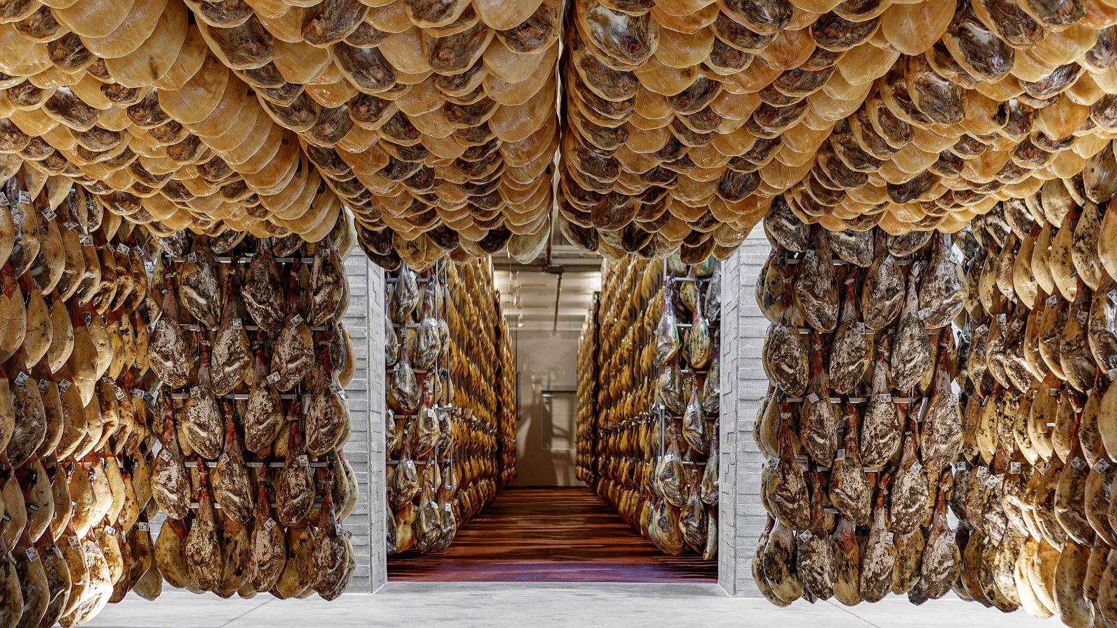 ¿Peligran las exportaciones a EE.UU.? - Mañaneros 360 | Ver