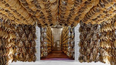 ¿Peligran las exportaciones a EE.UU.?