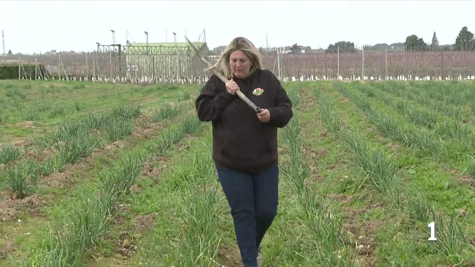 8M: dones que lideren negocis al món rural