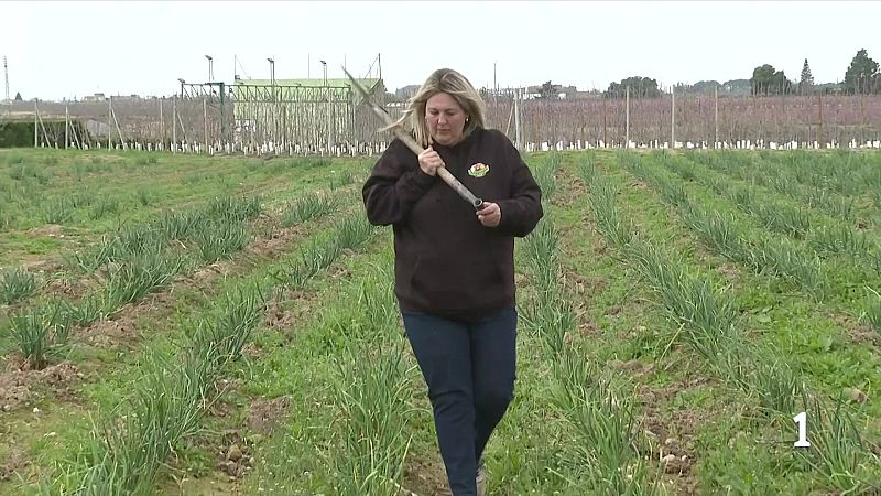 8M: dones que lideren negocis al món rural