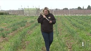 8M al m�n rural: dones que lideren negocis i lluiten contra els estereotips