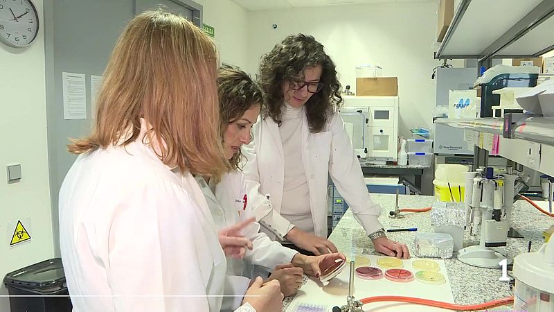 Innovación extremeña para crear complementos alimenticios - Ver ahora