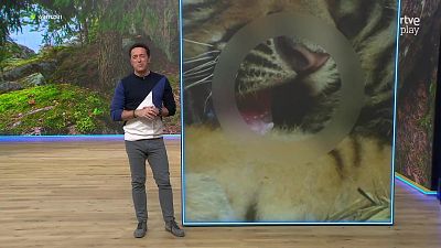 Aquí la Tierra - 06/03/26