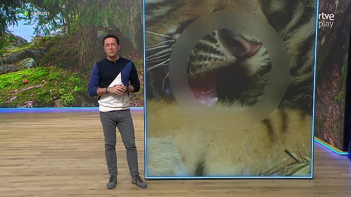 Aquí la Tierra - Aquí la Tierra - 06/03/26