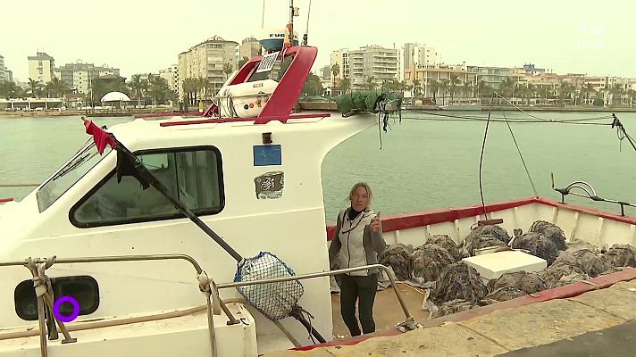 Agrosfera - Agrosfera - 07/03/26