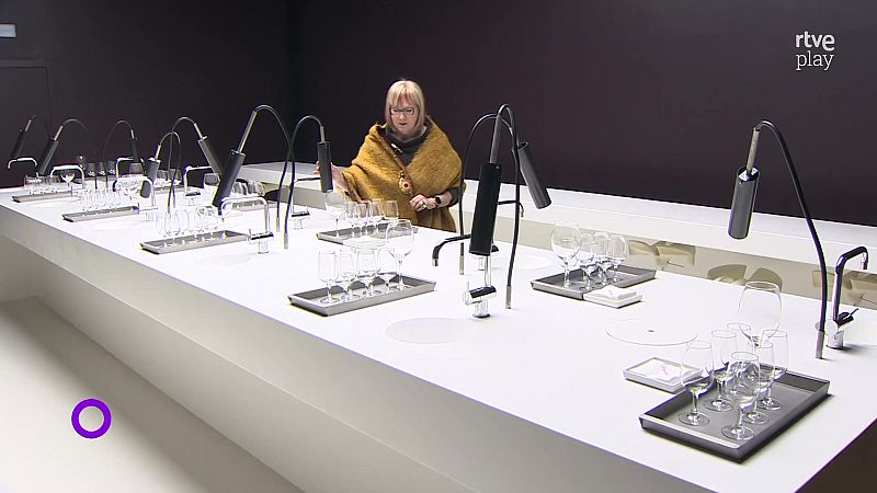 Mujeres en el sector del vino: queda camino por recorrer - Agrosfera | Ver