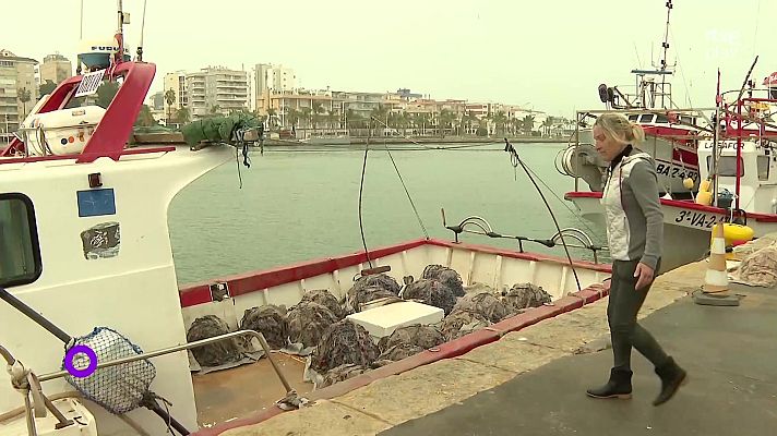 Agrosfera - Mujeres en la pesca: generaciones en la Cofradía de Gandía