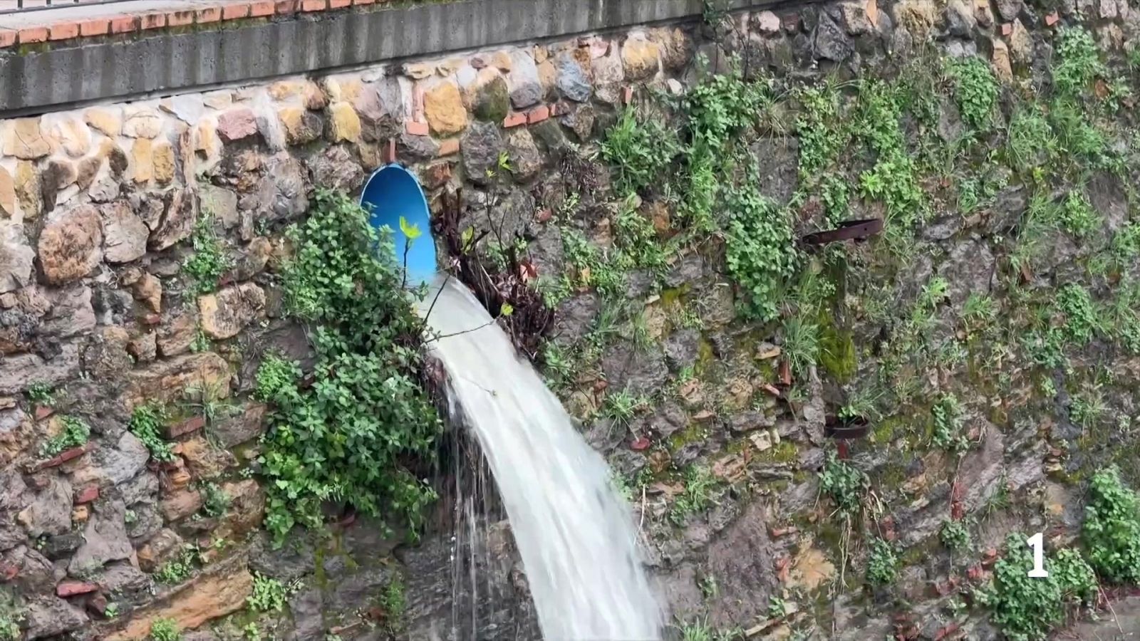 Efectes de la borrasca Regina