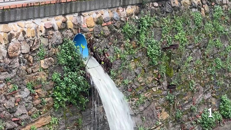 Efectes de la borrasca Regina