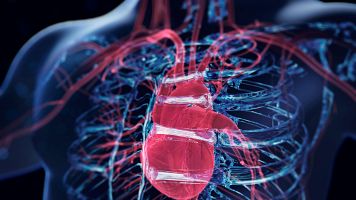 El Centro Nacional de Investigaciones Cardiovasculares busca voluntarios para un estudio sobre la ateroesclerosis