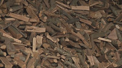 Les pluges alteren la gestió forestal