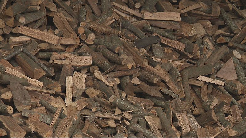 Les pluges alteren la gestió forestal