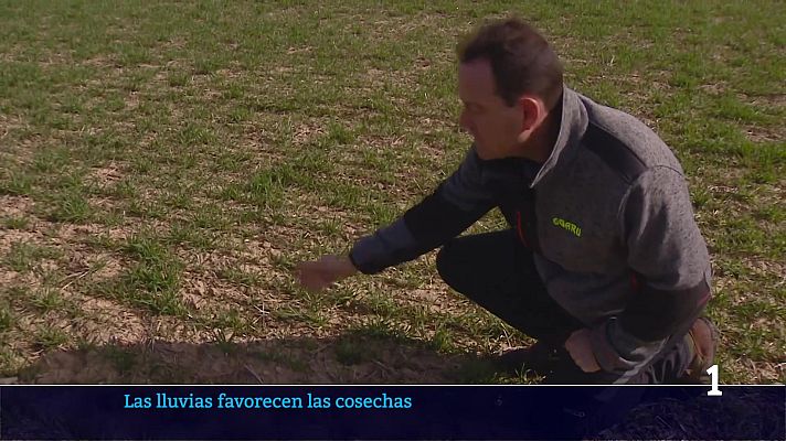  - La lluvia de febrero beneficia a las viñas y el cereal