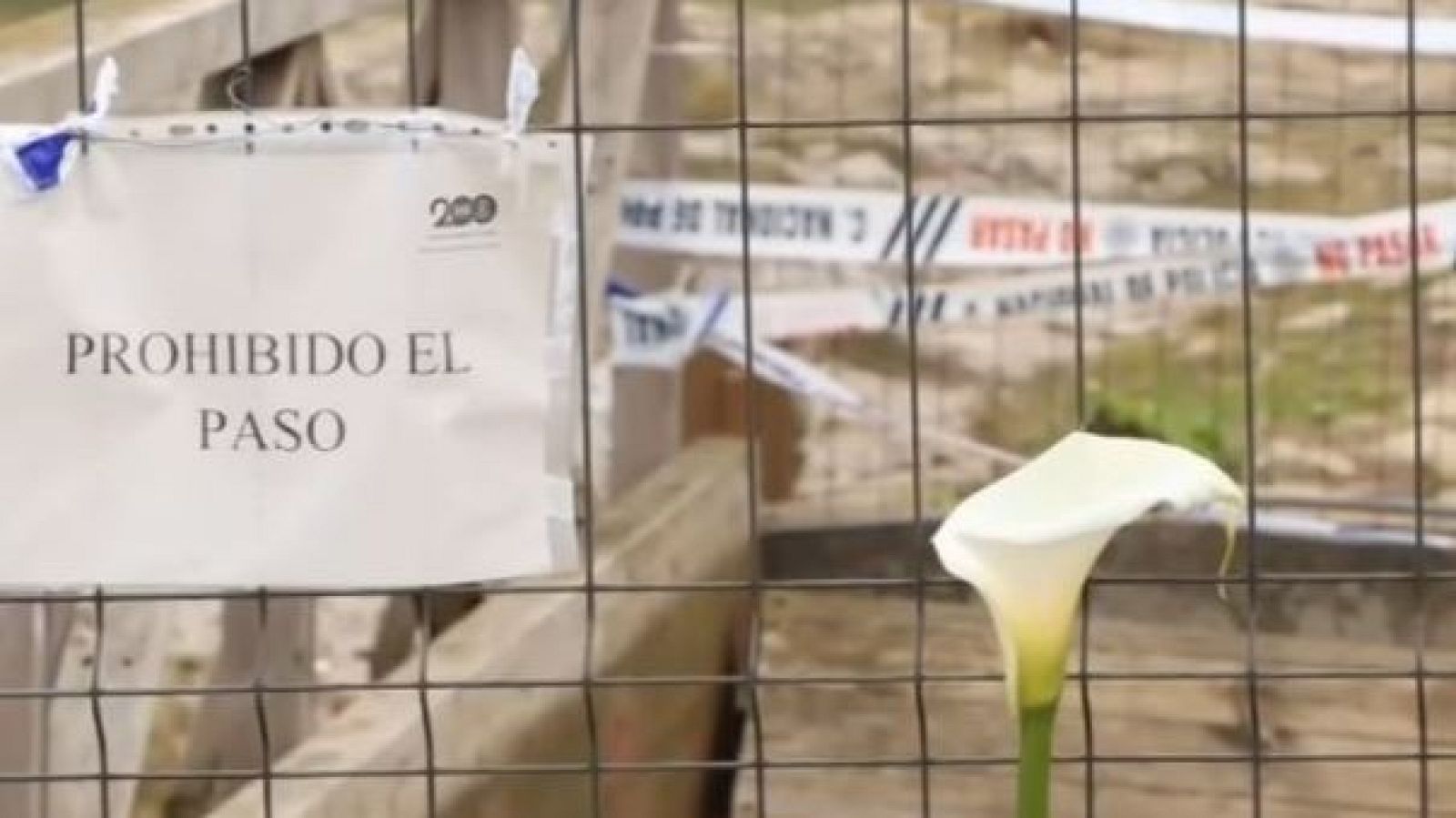 Julio Revuelta, el bombero que rescató a la única superviviente de la tragedia de El Bocal - Directo al grano | Ver