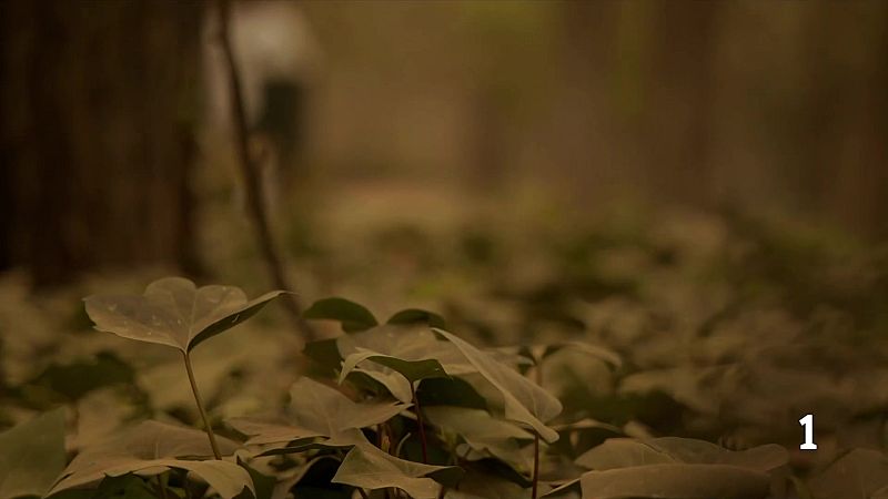 10 casos de desaparició al dia a Catalunya