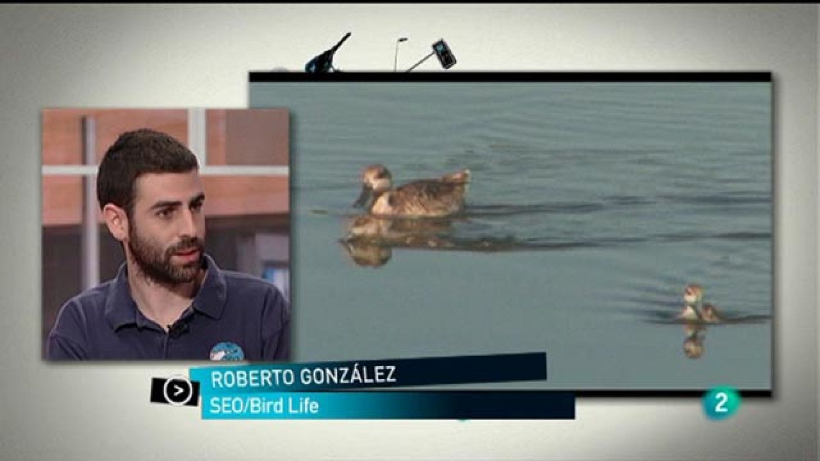 Para Todos La 2 - ONG: Seo Bird Life