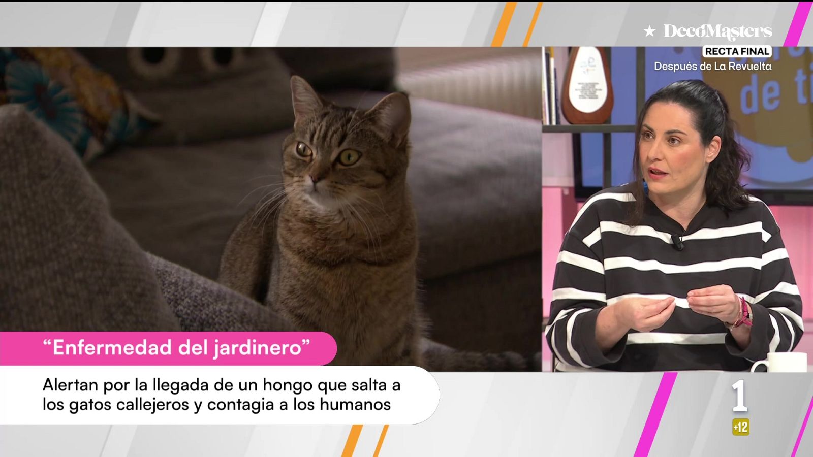 Cerca de ti - 09/03/2026 - Cerca de ti | Ver