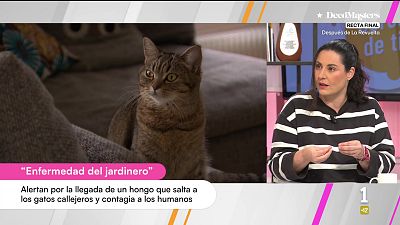 Cerca de ti - 09/03/2026