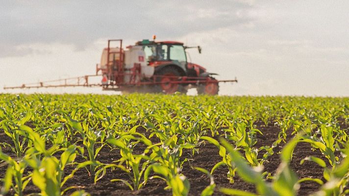 Noticias Aragón - Exportación de alfalfa al Golfo Pérsico