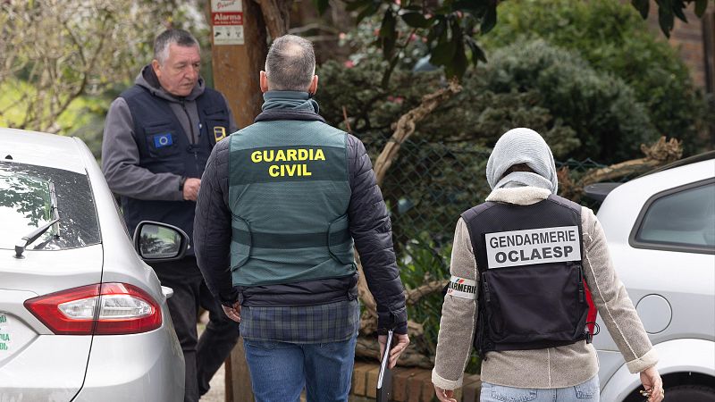 Operación contra el tráfico ilegal de angulas en Guipúzcoa | Ver