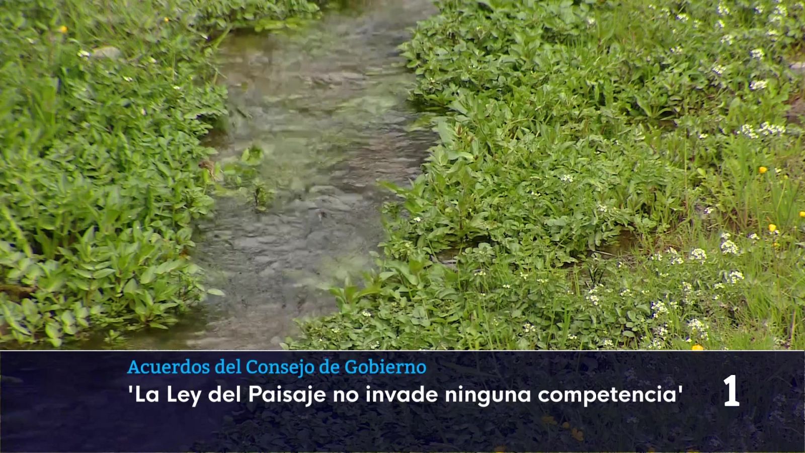 Informativo Telerioja 2 - 10/03/26 - Informativo Telerioja | Ver