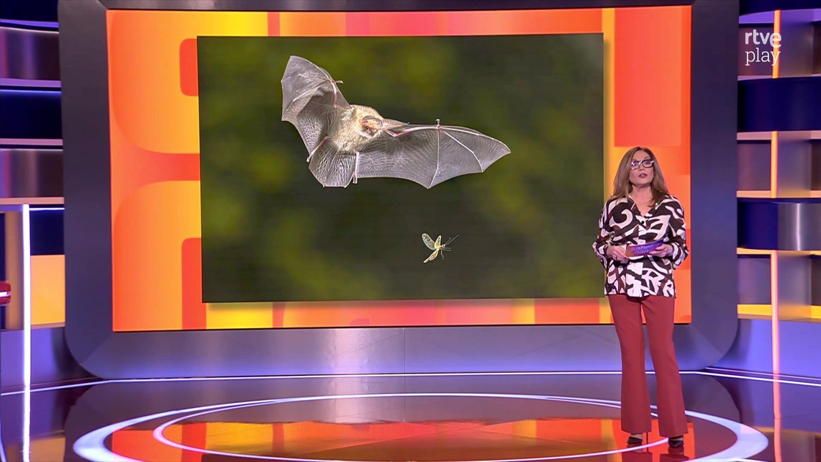 Saber y ganar - 09/03/26 - Saber y ganar | Ver