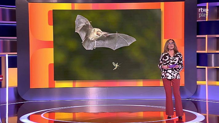 Saber y ganar - Saber y ganar - 09/03/26