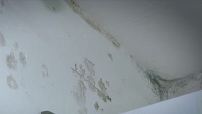 El barri de Can Peguera, entre humitats i tèrmits