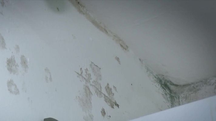 L'altaveu - El barri de Can Peguera, entre humitats i tèrmits