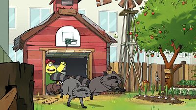 Invasión de mapaches