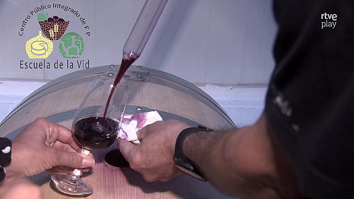 La aventura del Saber - Escuela de la Vid