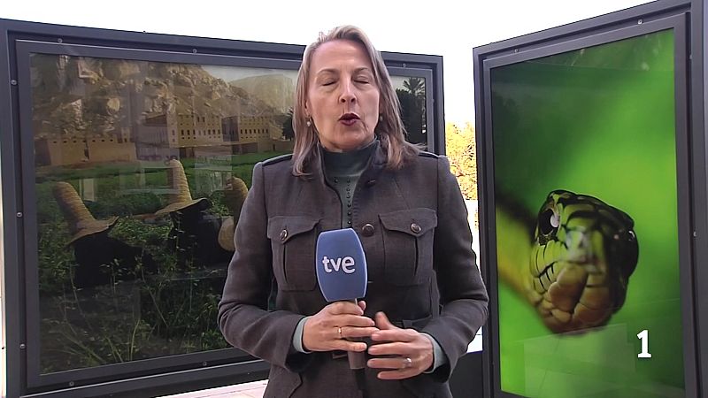 La 'Fundación La Caixa' llega a Ceuta - Noticias de Ceuta | Ver