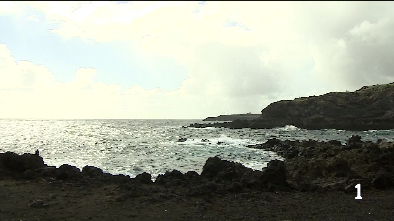 Continúa la búsqueda de Airam tras 20 días desaparecido en La Palma - Telecanarias | Ver