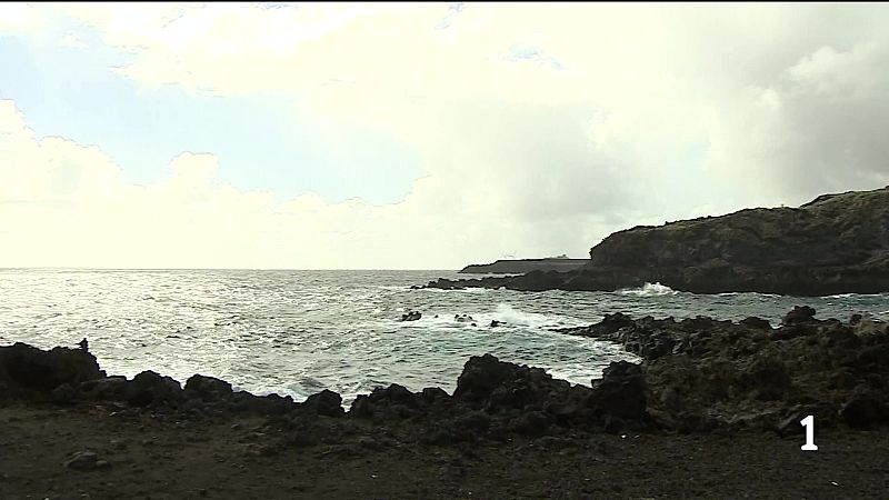 Continúa la búsqueda de Airam tras 20 días desaparecido en La Palma - Telecanarias | Ver