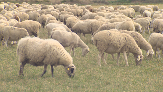 Ganaderos y agricultores, preocupados por el encarecimiento de los combustibles