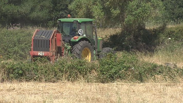 Informatiu Balear - El gasoil agrícola s'ha encarit un 66% des de gener a les Illes