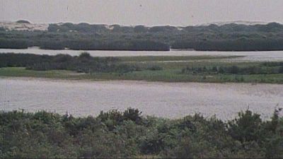 Las desembocaduras. Rías y Doñana (I)