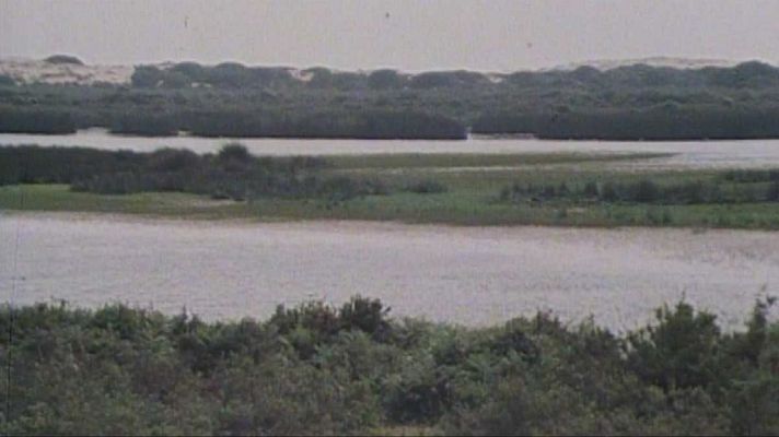 En la naturaleza - Las desembocaduras. Rías y Doñana (I)