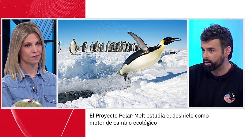 Ricardo Moure. La Antártida | Ver