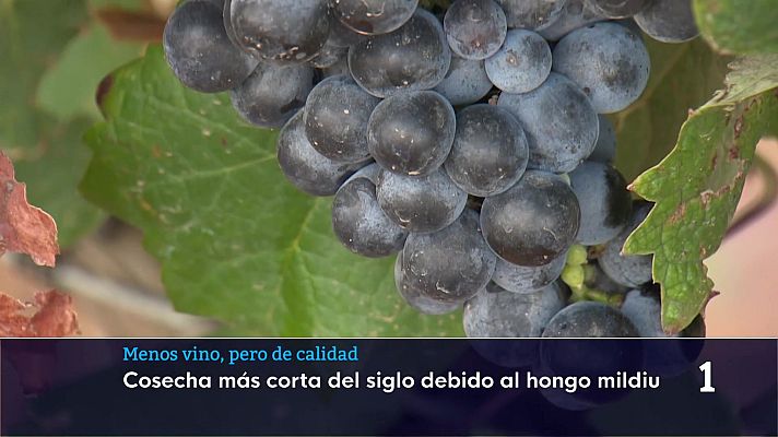 Informativo Telerioja - Telerioja en 2' - 12/03/26