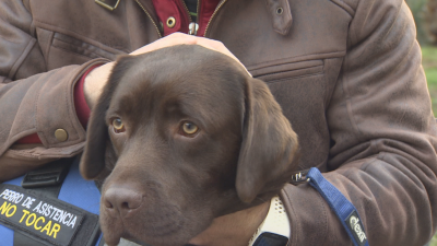 Hugo, primer perro para menores con TEA en la Regi�n de Murcia