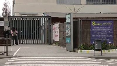 Ratolins en una escola de Montcada i Reixac