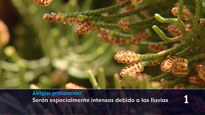 Informativo Telerioja - Informativo Telerioja 2 - 12/03/26